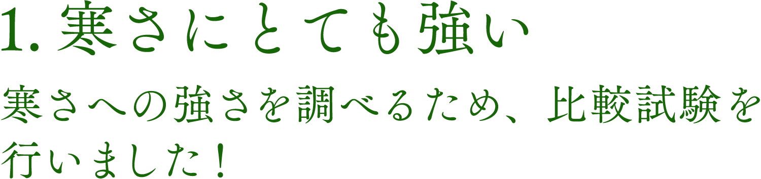 1.寒さにとても強い 寒さの強さを調べるため、比較試験を行いました！