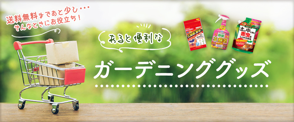 あると便利なおすすめガーデニンググッズ