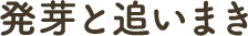 発芽と追いまき