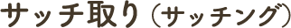 サッチ取り(サッチング)