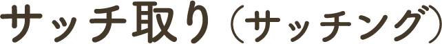 サッチ取り(サッチング)