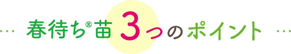 春待ち®苗3つのポイント