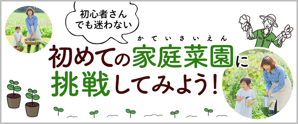 初心者さんでも迷わない 初めての家庭菜園に挑戦してみよう！