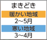 03 まきどき