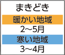 03 まきどき