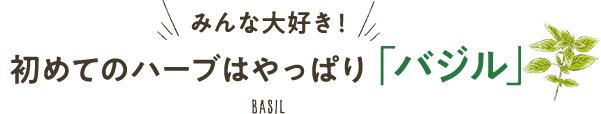 初めてのハーブはやっぱり「バジル」