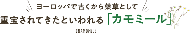 ヨーロッパで古くから薬草として重宝されてきたといわれる「カモミール」