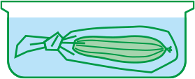 ぬるま湯に漬ける