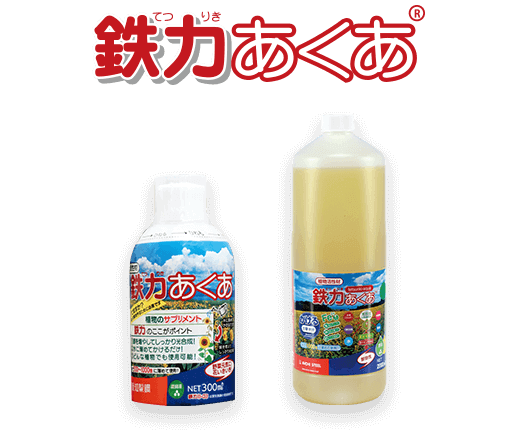 鉄力あくあ(R)