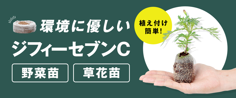 環境に優しいジフィーセブンC 野菜苗 草花苗