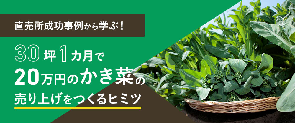 かき菜