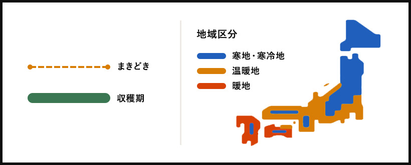 地域区分