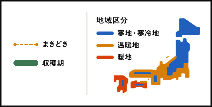 地域区分
