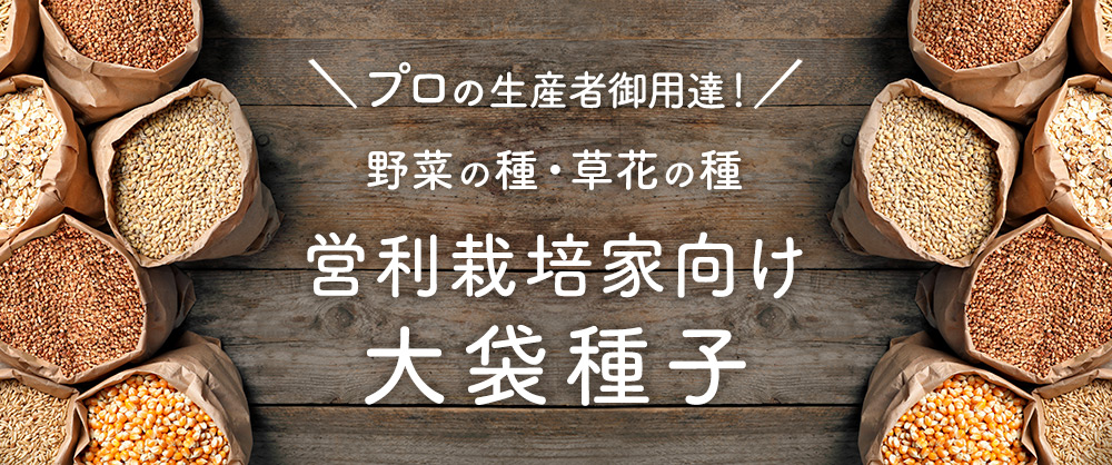 プロの生産者御用達! 野菜の種・草花の種 営利栽培家向け大袋種子