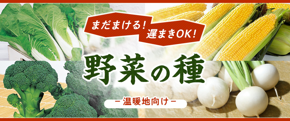 まだまける！遅まきOK！野菜の種（温暖地向け）