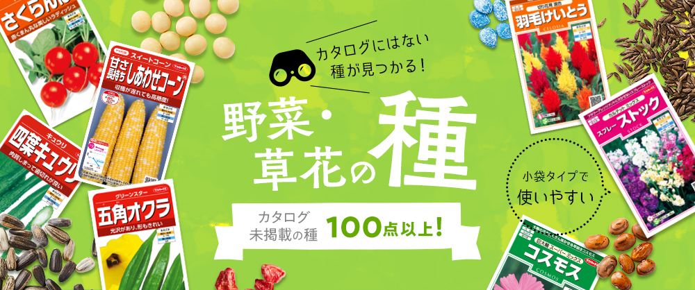 カタログにはない種が見つかる！野菜・草花の種 カタログ未掲載の種約200点