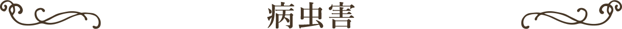 病虫害
