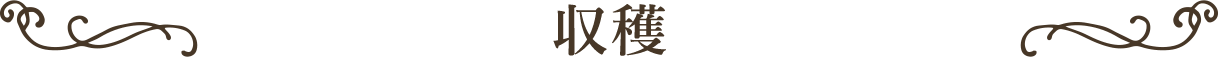 収穫