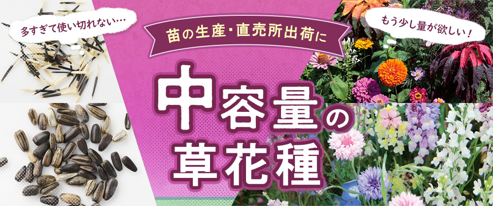中容量の草花種