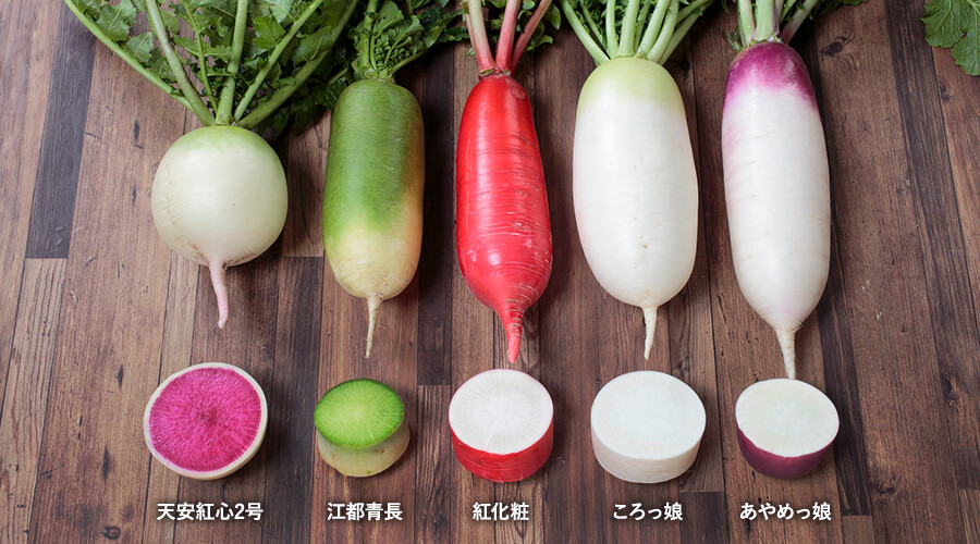 食べ比べも楽しい！色とりどりのミニダイコン