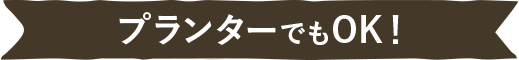 プランターでもOK!