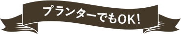 プランターでもOK!
