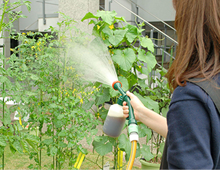 固形の有機質肥料にはできない使い方いろいろ！