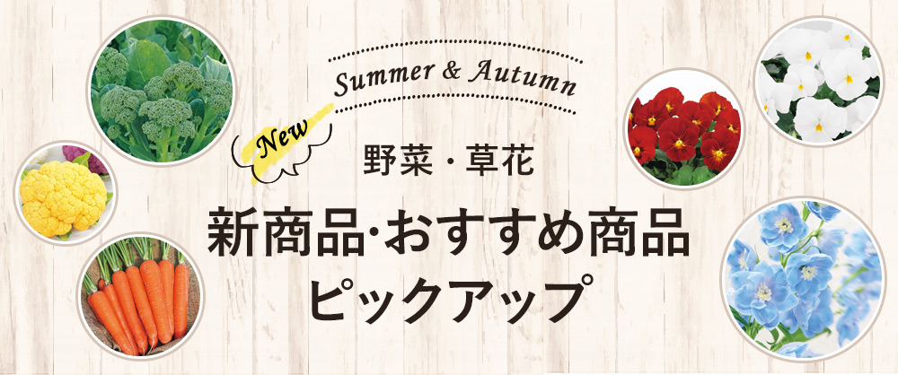 夏まき・秋まき用の野菜の種・草花の種 新商品・おすすめ商品ピックアップ