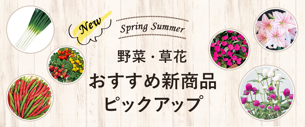 野菜の種・草花の種 おすすめ新商品ピックアップ