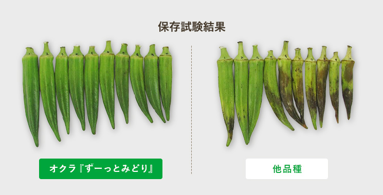 保存試験結果