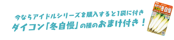 今ならアイドルシリーズを購入すると1袋に付きダイコン「冬自慢」の種のおまけ付き！ 