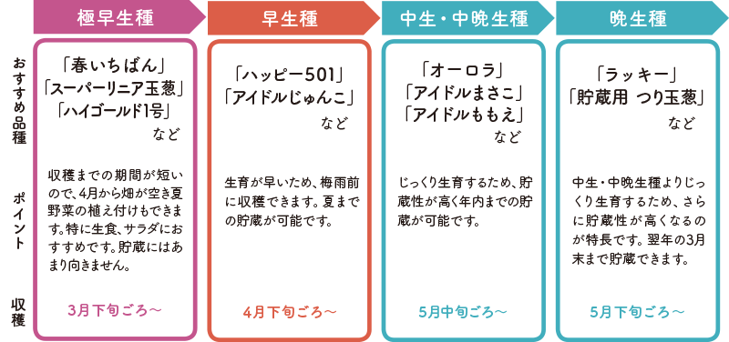 収穫時期で選ぶ 品種早見表