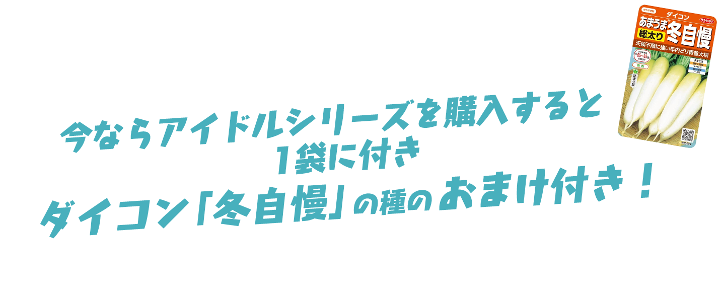 今ならアイドルシリーズを購入すると1袋に付きダイコン「冬自慢」の種のおまけ付き！ 