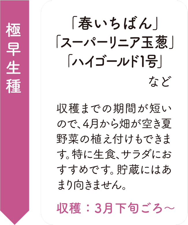 極早生種