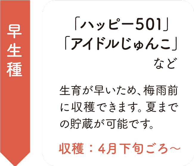 早生種