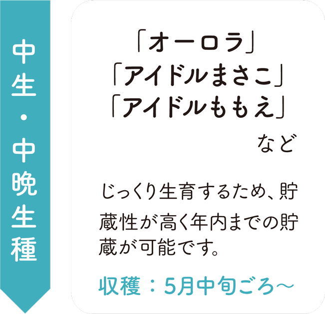 中生・中晩生種