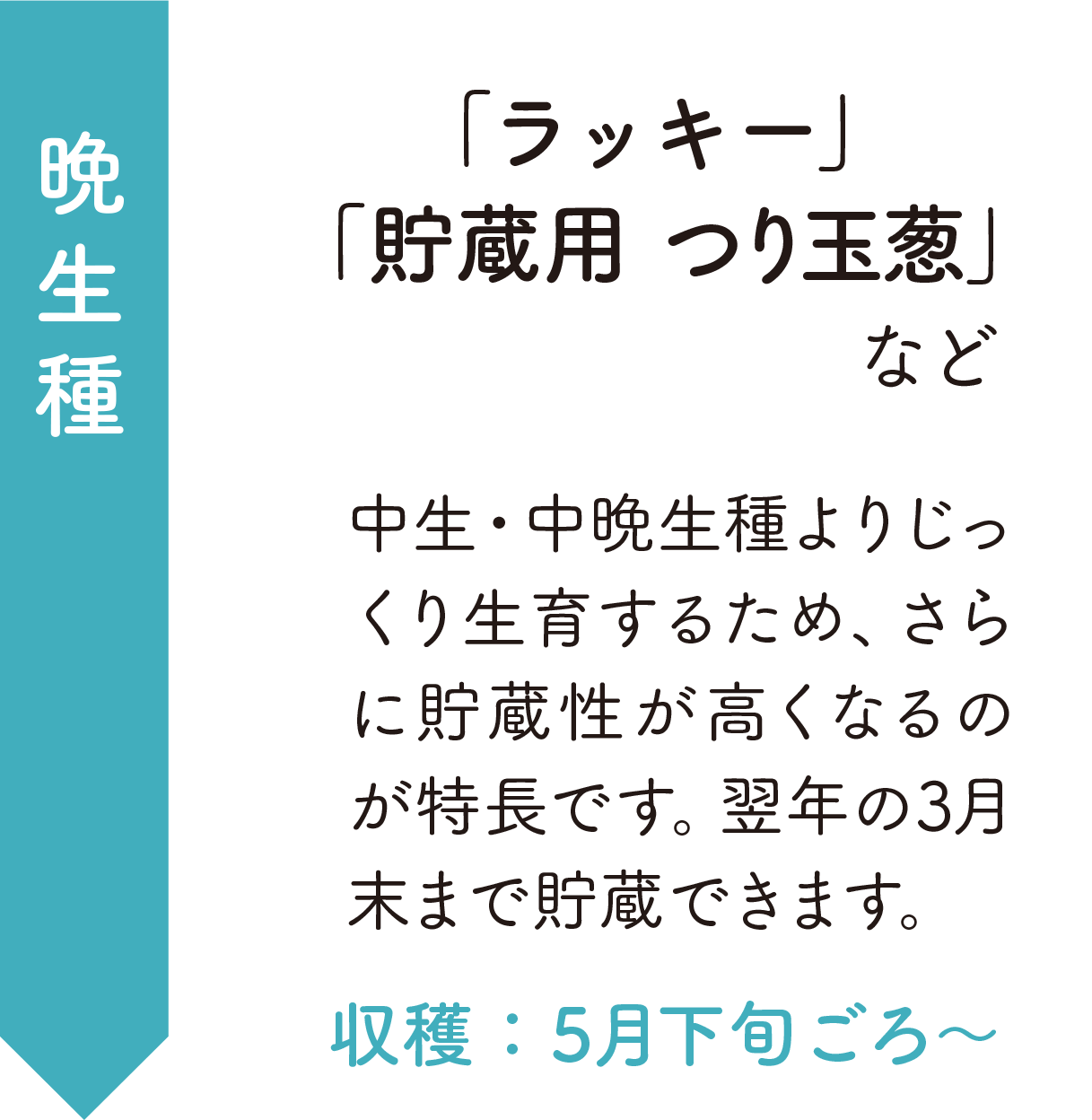 晩生種