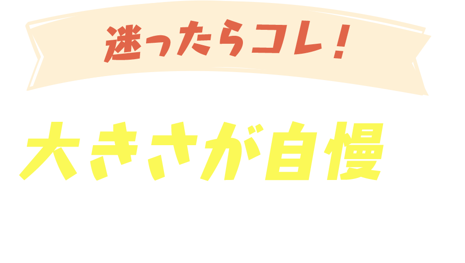 迷ったらコレ！大きさが自慢のアイドルシリーズ