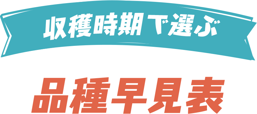 収穫時期で選ぶ 品種早見表