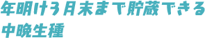 年明け3月末まで貯蔵できる中晩生種
