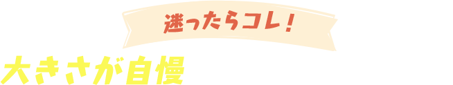 迷ったらコレ！大きさが自慢のアイドルシリーズ