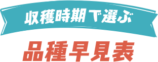 収穫時期で選ぶ 品種早見表