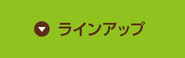 ラインアップ