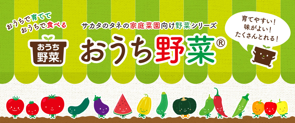 おうちで育てて、おうちで食べる 家庭菜園向け野菜シリーズ おうち野菜®