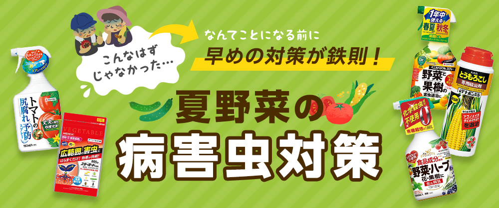 早めの対策が鉄則！夏野菜の病害虫対策