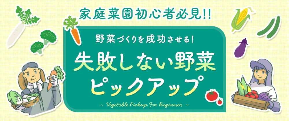野菜づくりを成功させる！失敗しない野菜ピックアップ