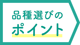 品種選びのポイント