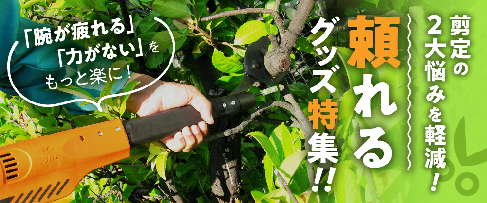 剪定の2大悩みを軽減！頼れるグッズ特集