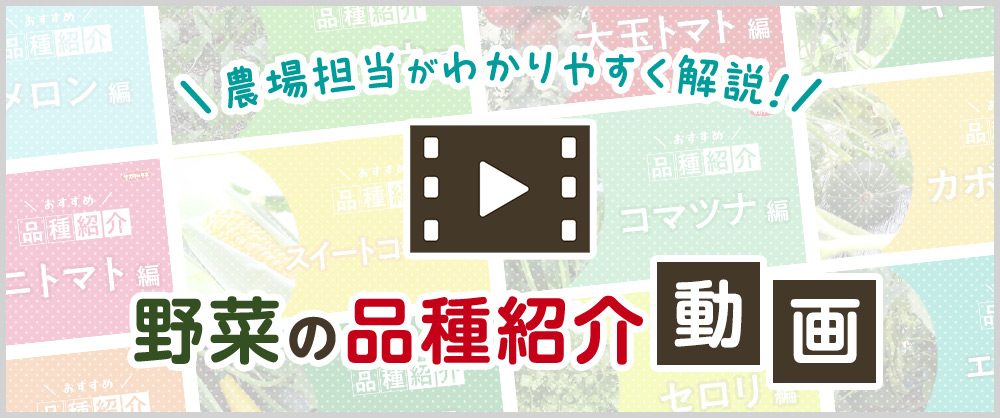農場担当が動画でわかりやすく解説!野菜の品種紹介