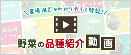 野菜の品種紹介動画 農場担当がわかりやすく解説！